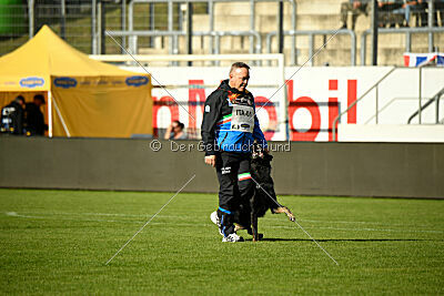 Iron von Pike`s Spirit